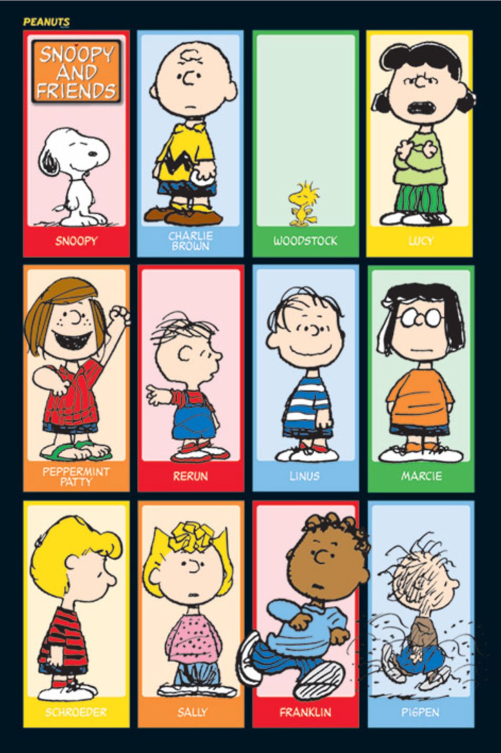 Peanuts Snoopy and Friends PP30534
