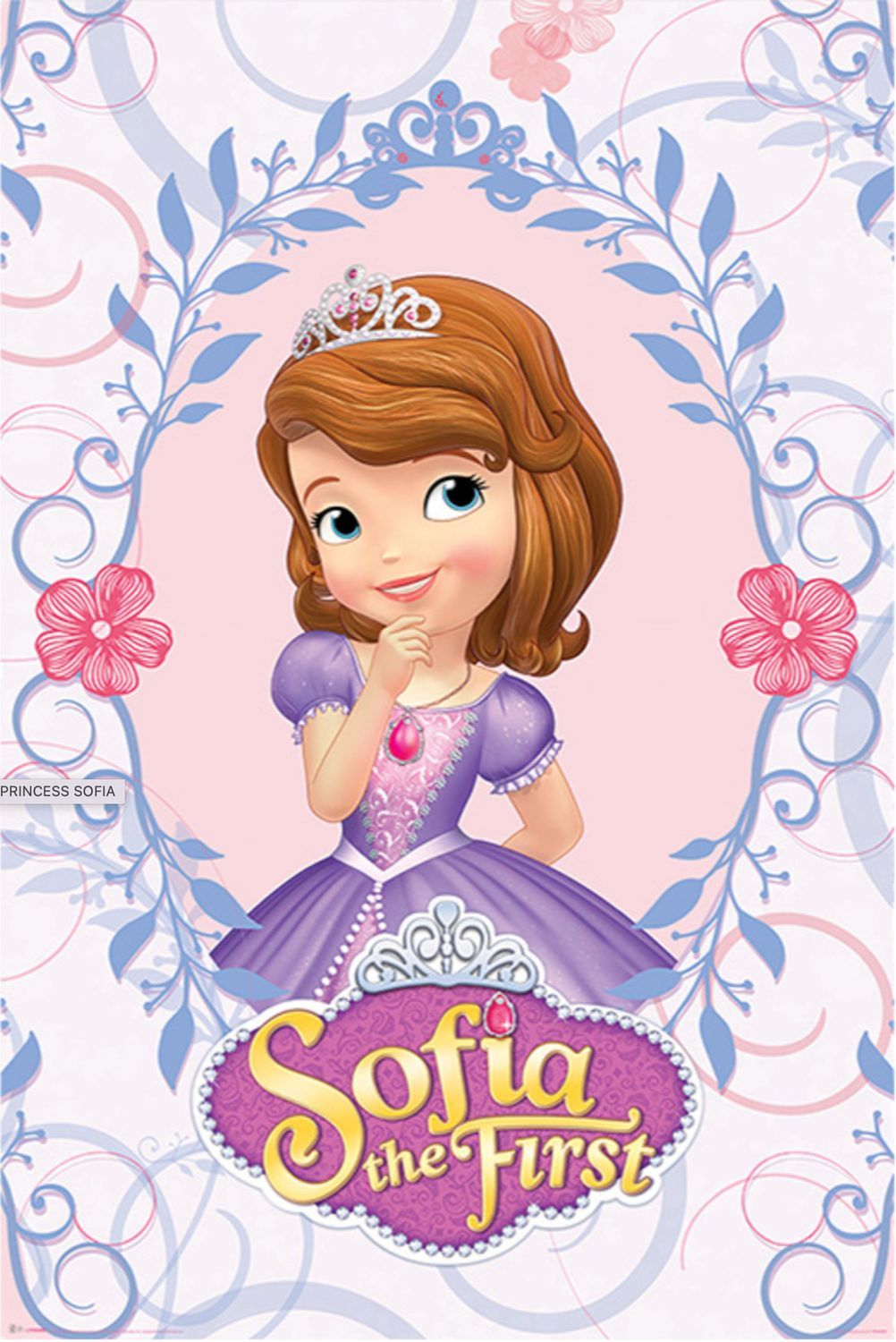 Sofia the First Princess PP34029