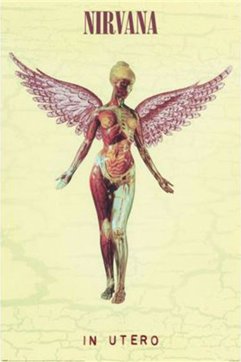 Nirvana In Utero PP35113