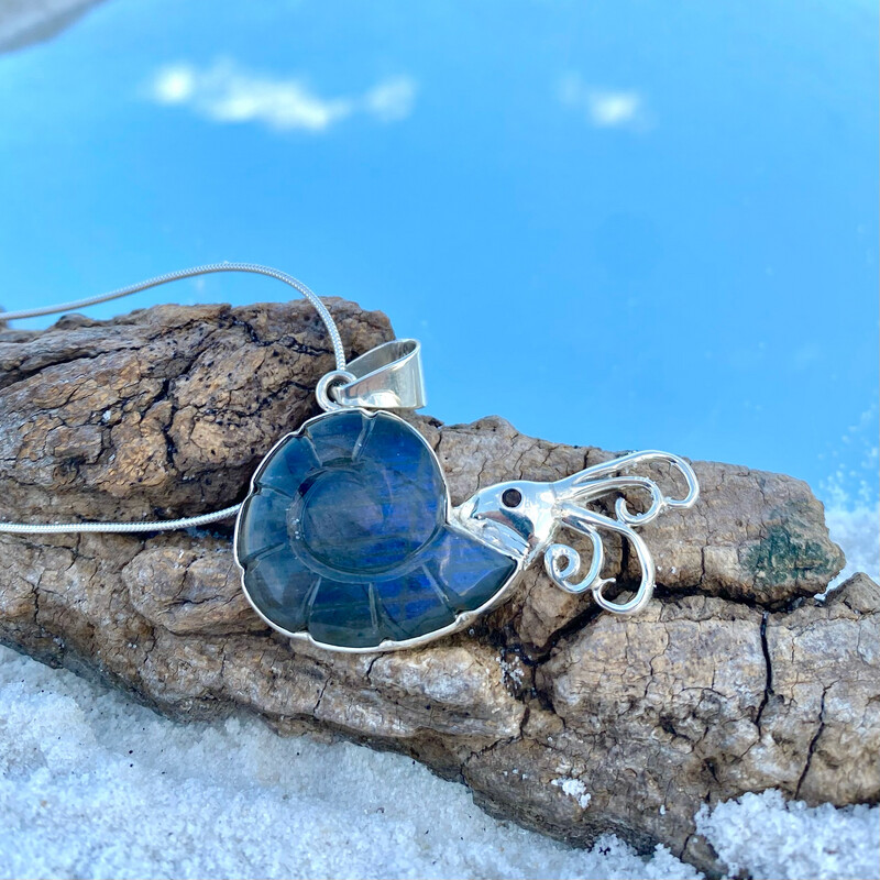 Fossilized Sea Life: Labradorite Ammonite Nautilus Pendant in Sterling Silver, One-of-a-kind