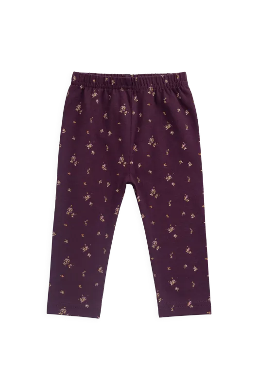 Cotton Everyday Legging
