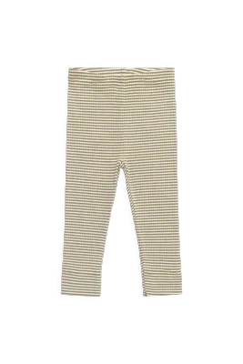 Modal Legging