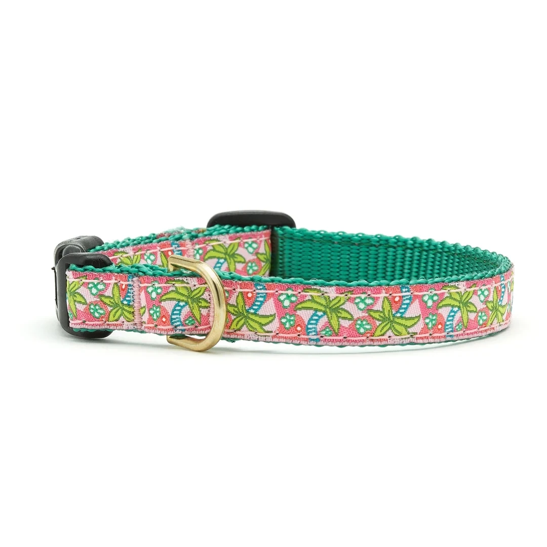 Palm dog cheap collar