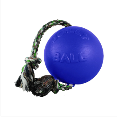 Jolly Ball Push N Play