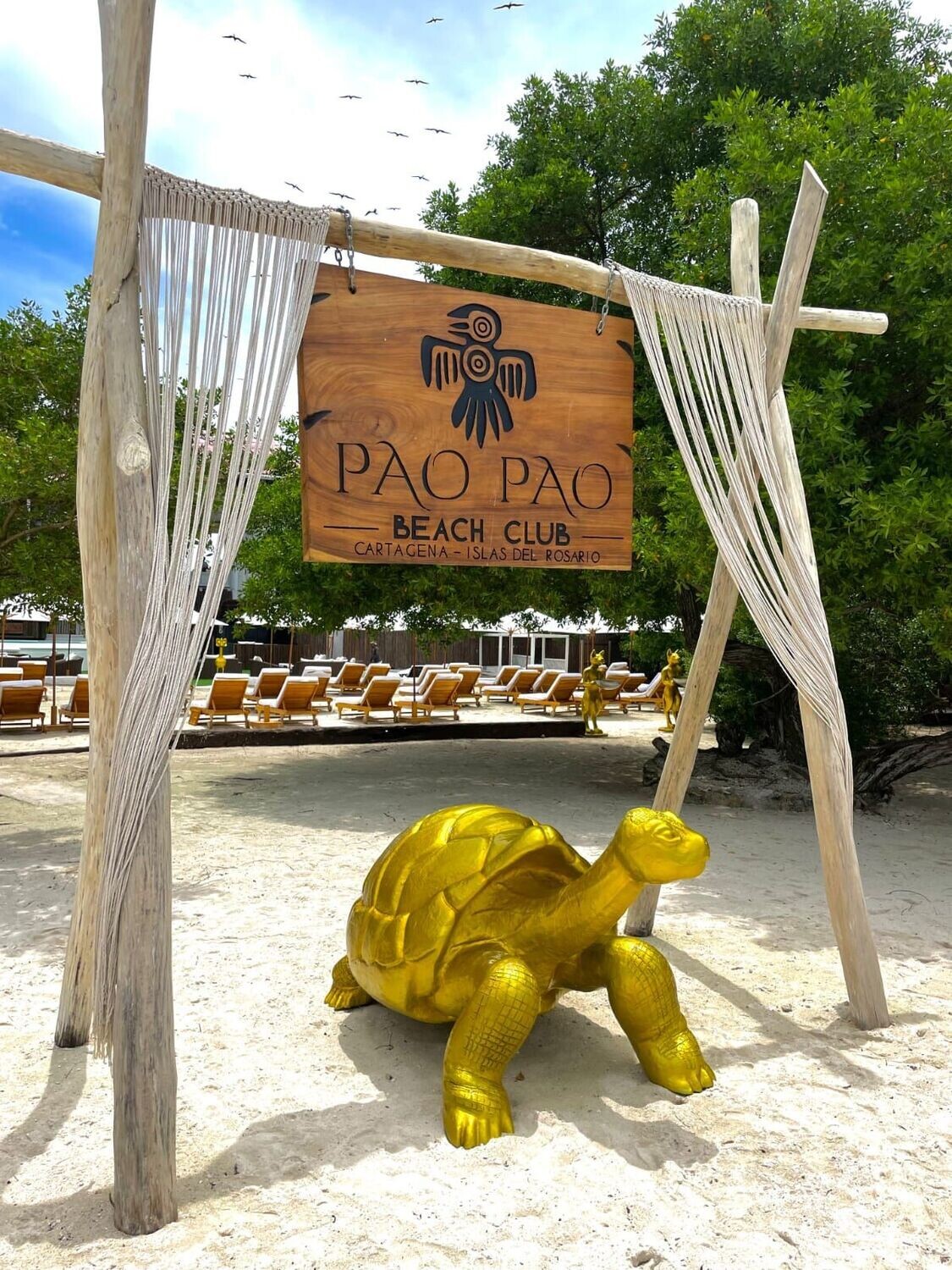 Pao Pao Beach Club