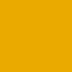 N Bazzill Smoothies Cardstock 12&quot; X12&quot; Saffron