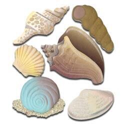 N Jolee&#39;s Boutique Dimensional Stickers Seashells