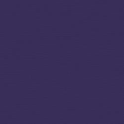 N My Colors Canvas 80lb Cover Weight Cardstock 12&quot; X12&quot; Concord Jam