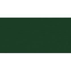 N My Colors Canvas 80lb Weight Cardstock 12&quot; X12&quot; Evergreen
