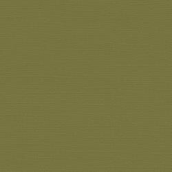 N My Colors Canvas 80lb Cover Weight Cardstock 12&quot; X12&quot; Grasshopper