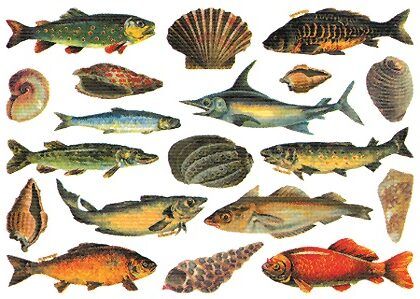 GB German Decoration- Fish
