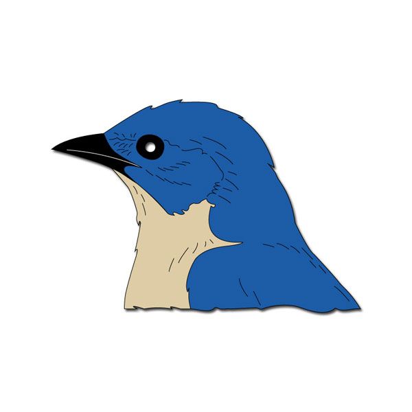 SC Blue Bird Head
