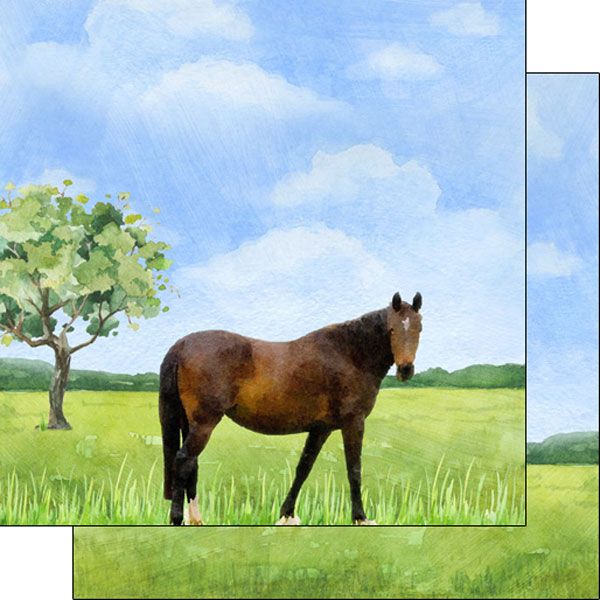 SC Horse Watercolor Paper