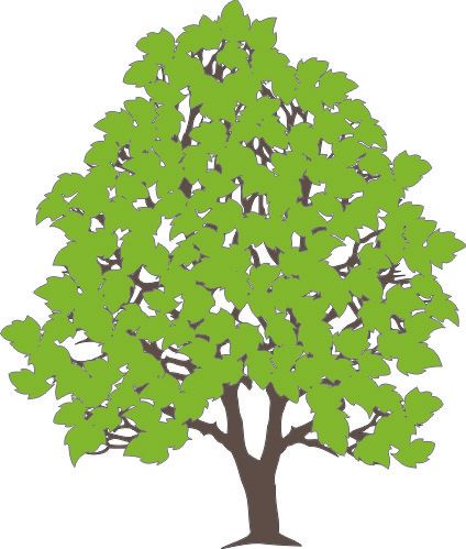 PP Summer Tree