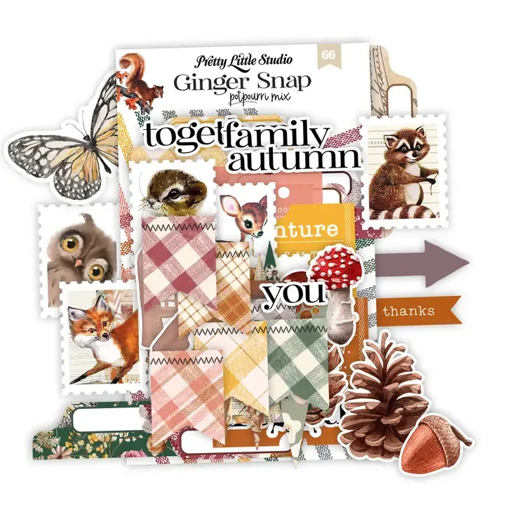 F Pretty Little Studio Potpourri Fall Mix Ephemera