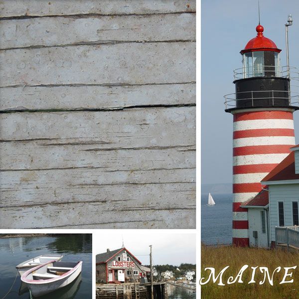 SC Maine Paper 12x12
