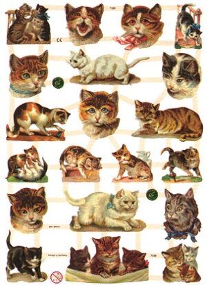 GB Ernst Freihoff- ScrapArt Adornments- Playful Kittens