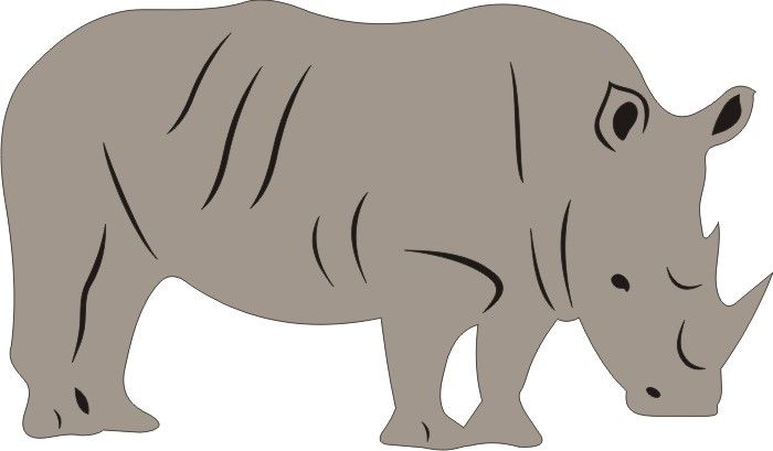 PP Rhinoceros