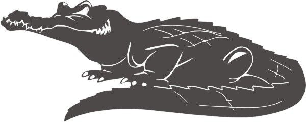 PP Alligator