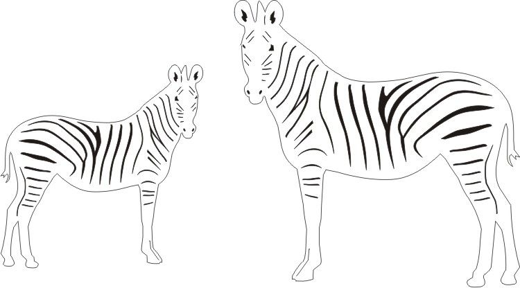 PP Zebras Set Of 2