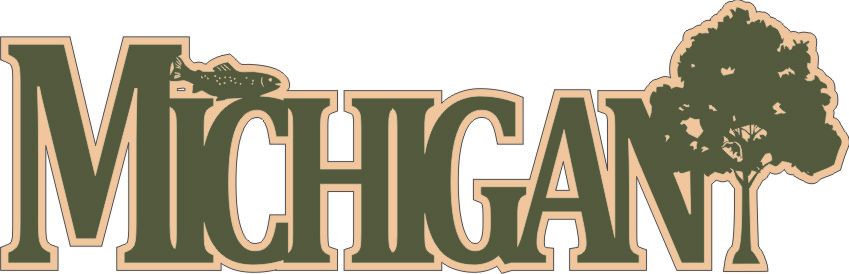 PP Michigan