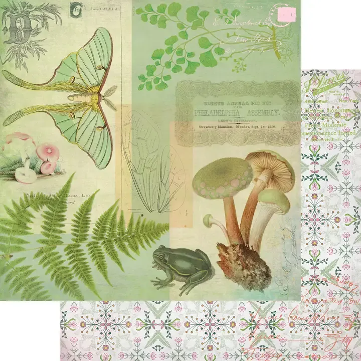 F Fancy Pants Designs Fairy Garden 12&quot; X12&quot; Paper Fairy Wings
