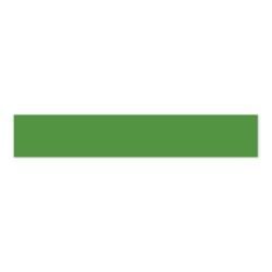 N Echo Park Essentials Washi Tape 30&#39; Green