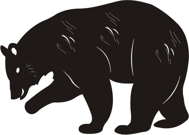 PP Black Bear