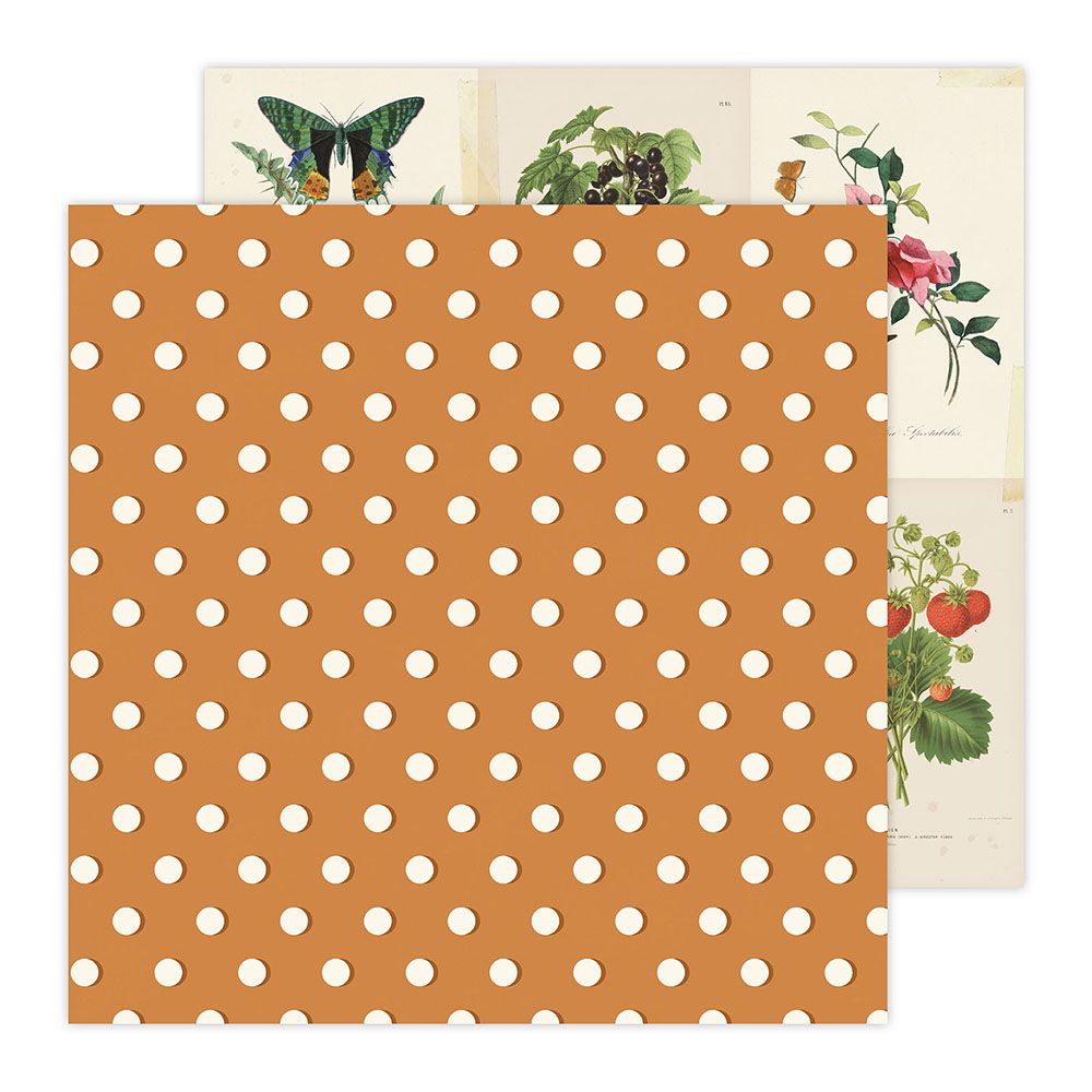 N  Maggie Holmes - Pretty Picnic Collection - 12 x 12 Double Sided Paper - 8