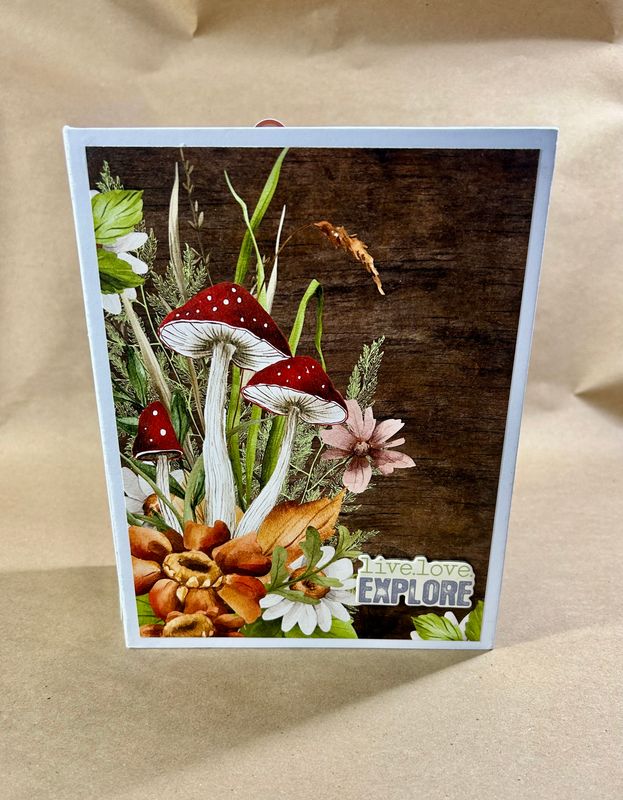 31. Woodlands Mini Album Class- July 19, 2025