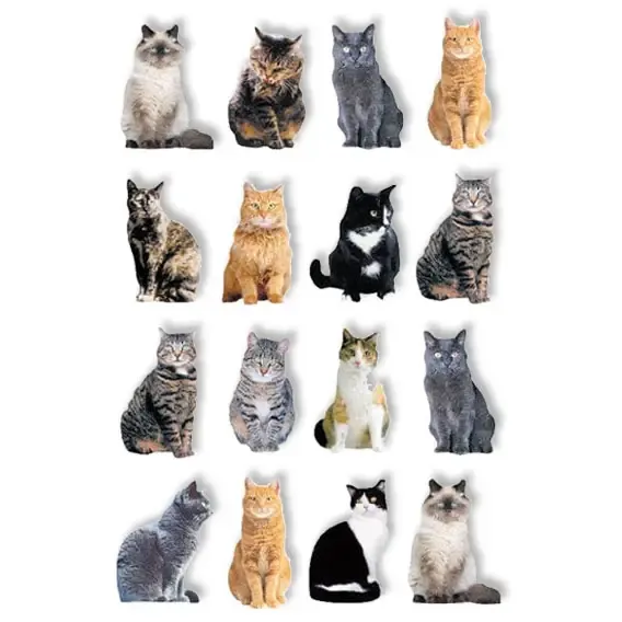 Pop Up Scrapbook Stickers Cats