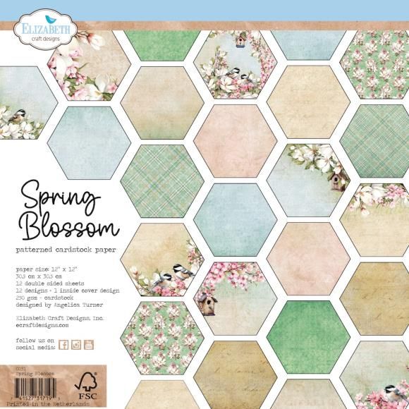 N Elizabeth Craft Double-Sided Cardstock Pack 12&quot; X12&quot; Spring Blossom