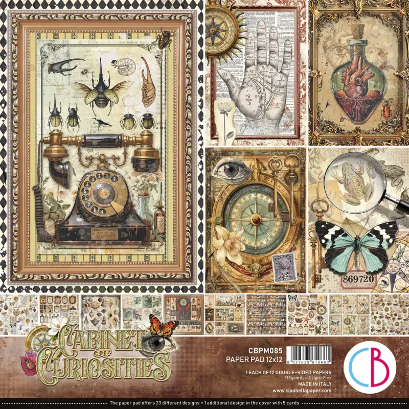 Cabinet Of Curiosities Paper Pad 12&quot;x12&quot; 12/Pkg