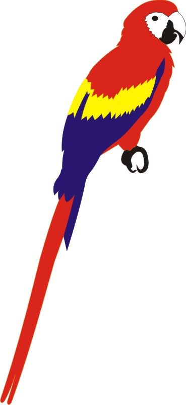 PP Macaw