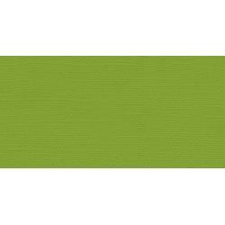 N My Colors Cardstock Mint Julep 12&quot; X12&quot;