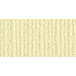 N Bazill Textured Cardstock 12&quot; X12&quot; Chiffon
