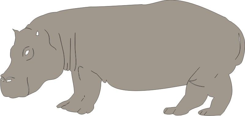 PP Hippo