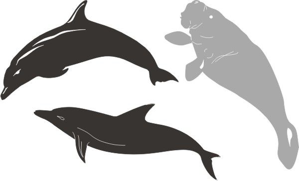 PP Set Of 2 Dolphins &amp; 1 Manatee