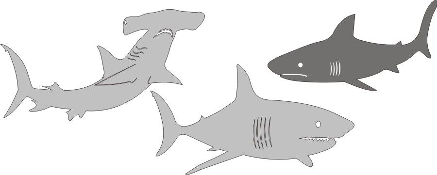 PP Sharks