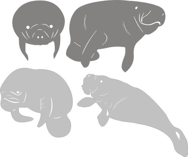 PP Manatee Set Of 4