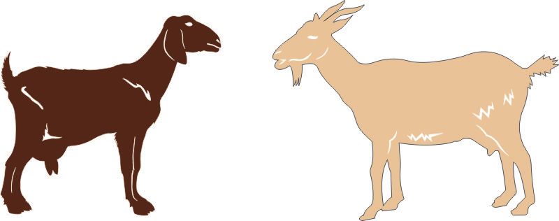 PP Goats Set Of 2