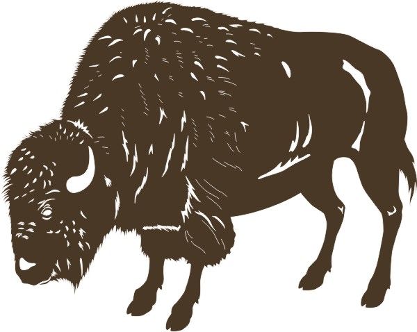 PP Buffalo