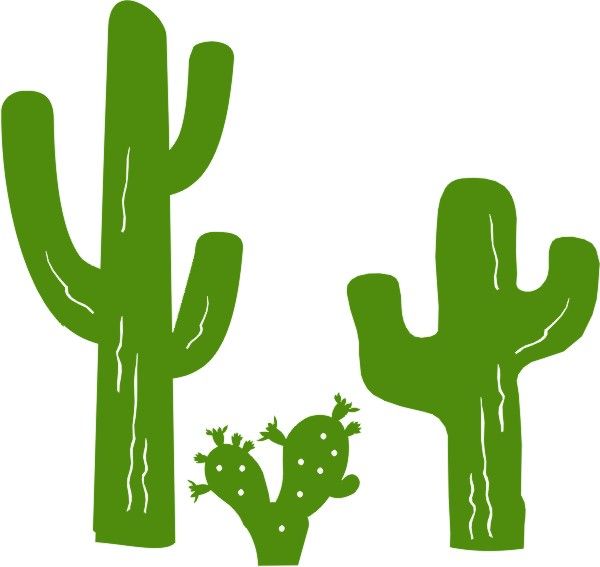 PP Cactus Set Of 3