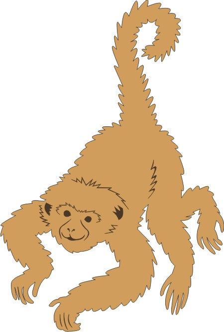PP Monkey