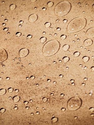 PENETRATING SEALERS / REPELLENTS