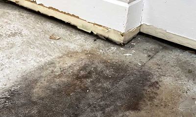 RISING DAMP SOLUTIONS