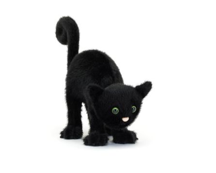 Spookipaws Cat