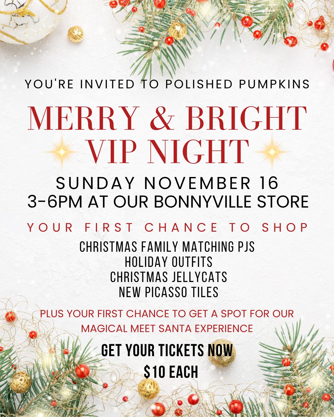 Merry &amp; Bright VIP Night