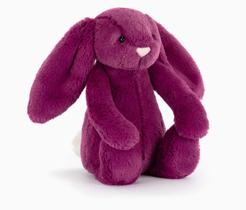 Little Bashful Allium Bunny