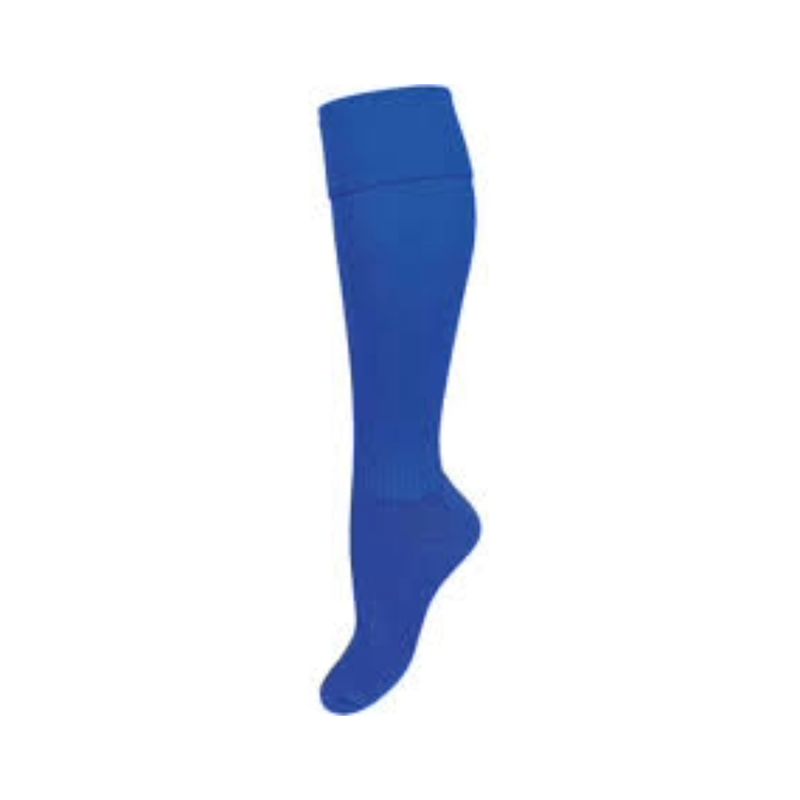 Royal Blue Socks - Adult Medium (2-8)